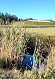 Blaxland Riverside Park Kiosk