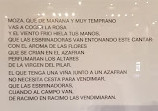 Museo del Azafrán