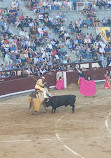 Las Ventas Bullring