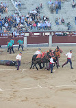 Las Ventas Bullring