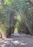 Ibirapuera Parkı