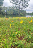 Ibirapuera Parkı