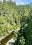 Capilano Suspension Bridge Park