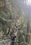 Capilano Suspension Bridge Park