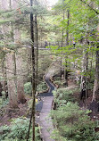 Capilano Suspension Bridge Park