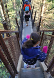 Capilano Suspension Bridge Park