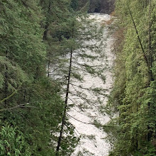 Capilano Suspension Bridge Park