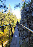 Capilano Suspension Bridge Park