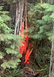 Capilano Suspension Bridge Park