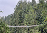 Capilano Suspension Bridge