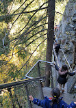 Capilano Suspension Bridge Park