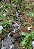 Capilano Suspension Bridge Park