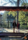 Capilano Suspension Bridge Park