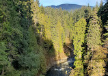 Capilano Suspension Bridge