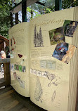 Capilano Suspension Bridge Park