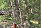 Capilano Suspension Bridge Park