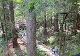 Capilano Suspension Bridge Park