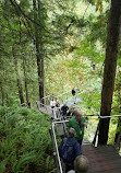 Capilano Suspension Bridge Park