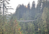 Capilano Suspension Bridge Park