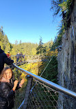 Capilano Suspension Bridge Park