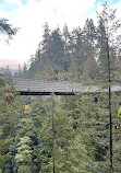 Capilano Suspension Bridge Park