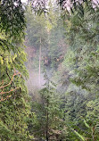 Capilano Suspension Bridge Park