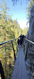 Capilano Suspension Bridge Park