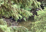 Capilano Suspension Bridge Park