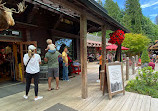 Capilano Suspension Bridge Park