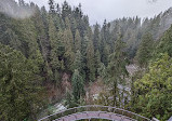 Capilano Suspension Bridge