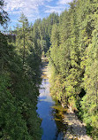 Capilano Suspension Bridge Park