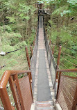 Capilano Suspension Bridge Park