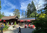 Capilano Suspension Bridge Park