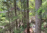 Capilano Suspension Bridge Park