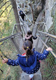 Capilano Suspension Bridge Park