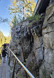 Capilano Suspension Bridge Park