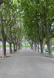 Promenade du Peyrou