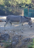 Montpellier Zoological Park