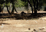 Montpellier Zoological Park