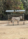 Montpellier Zoological Park