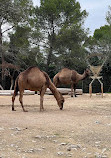 Montpellier Zoological Park