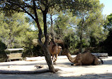 Montpellier Zoological Park