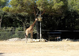 Montpellier Zoological Park