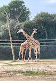 Montpellier Zoological Park