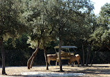 Montpellier Zoological Park