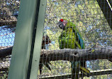 Montpellier Zoological Park