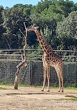 Montpellier Zoological Park