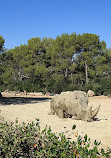 Montpellier Zoological Park