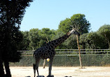 Montpellier Zoological Park