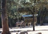 Montpellier Zoological Park